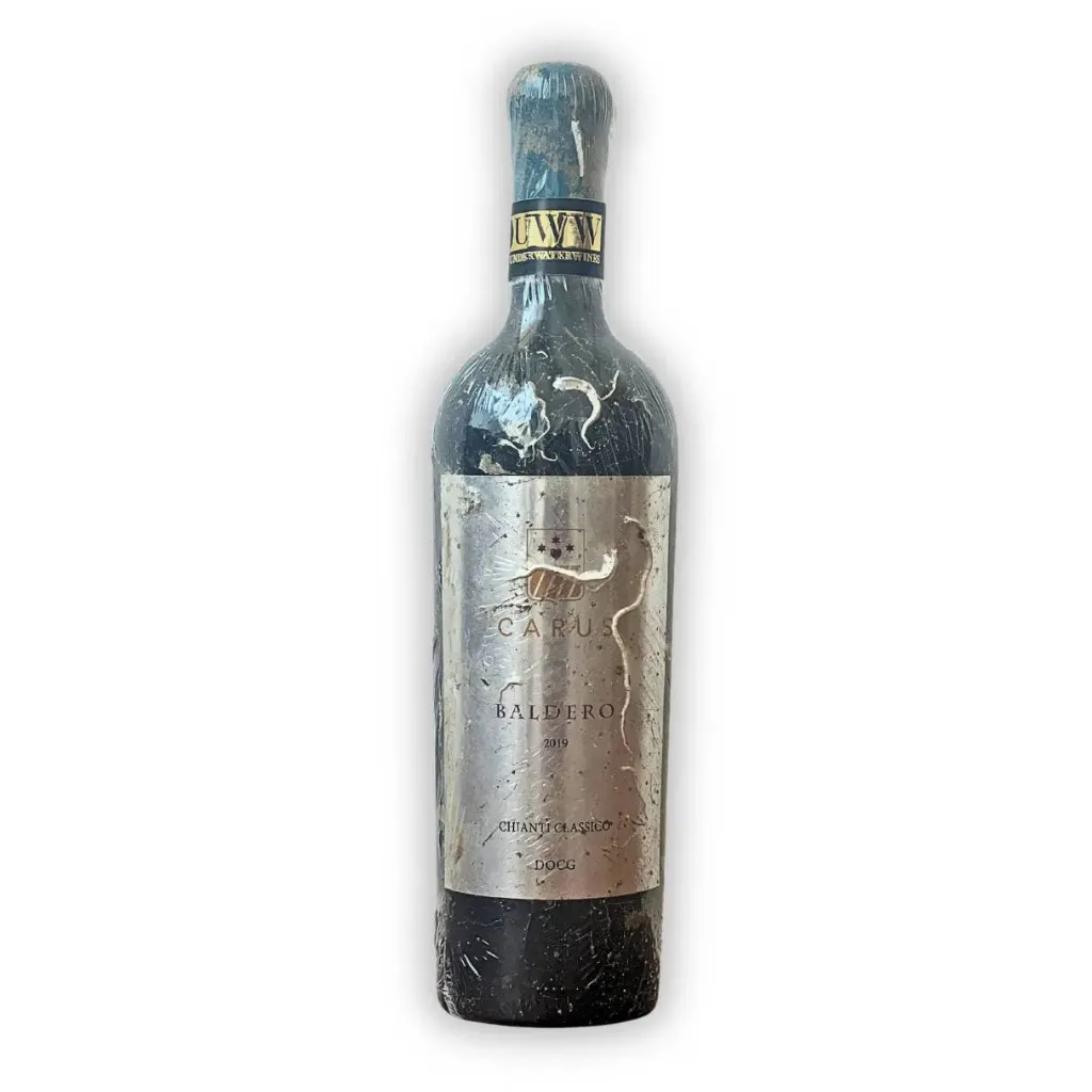 Carusvini Baldero 2019 Underwater Chianti Classico